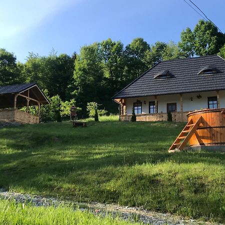 Hotel Casa Berg Vişeu de Sus Exterior foto