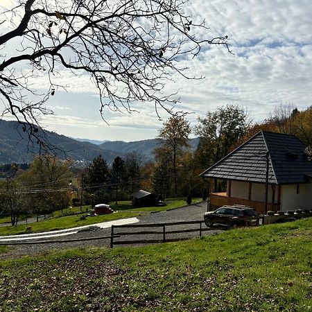 Hotel Casa Berg Vişeu de Sus Exterior foto