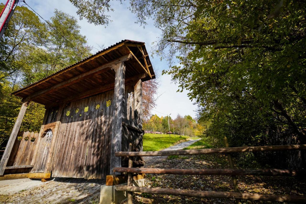 Hotel Casa Berg Vişeu de Sus Exterior foto