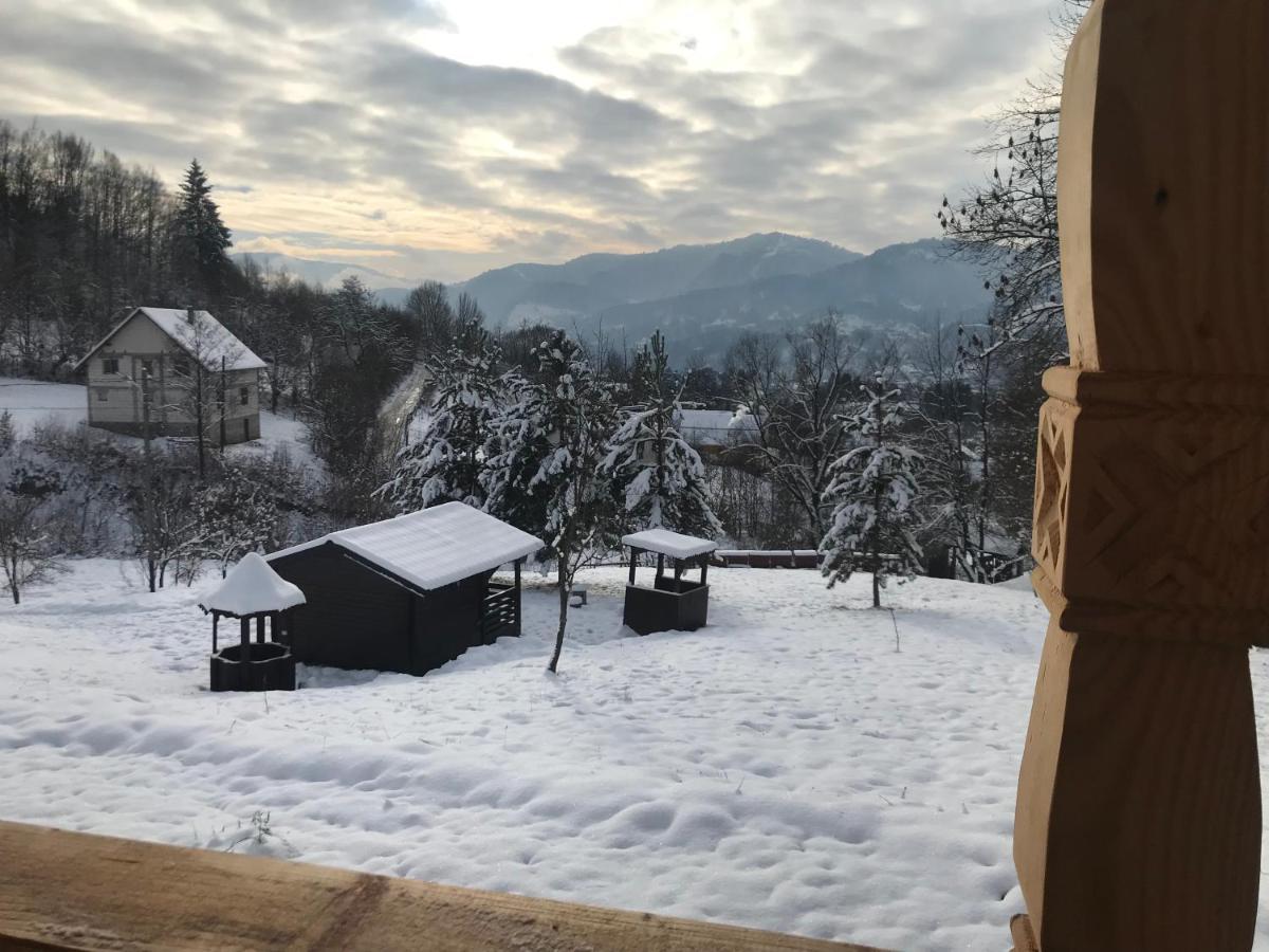 Hotel Casa Berg Vişeu de Sus Exterior foto