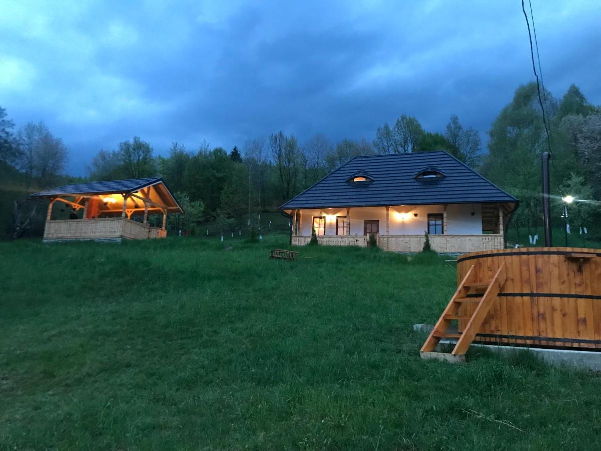 Hotel Casa Berg Vişeu de Sus Exterior foto