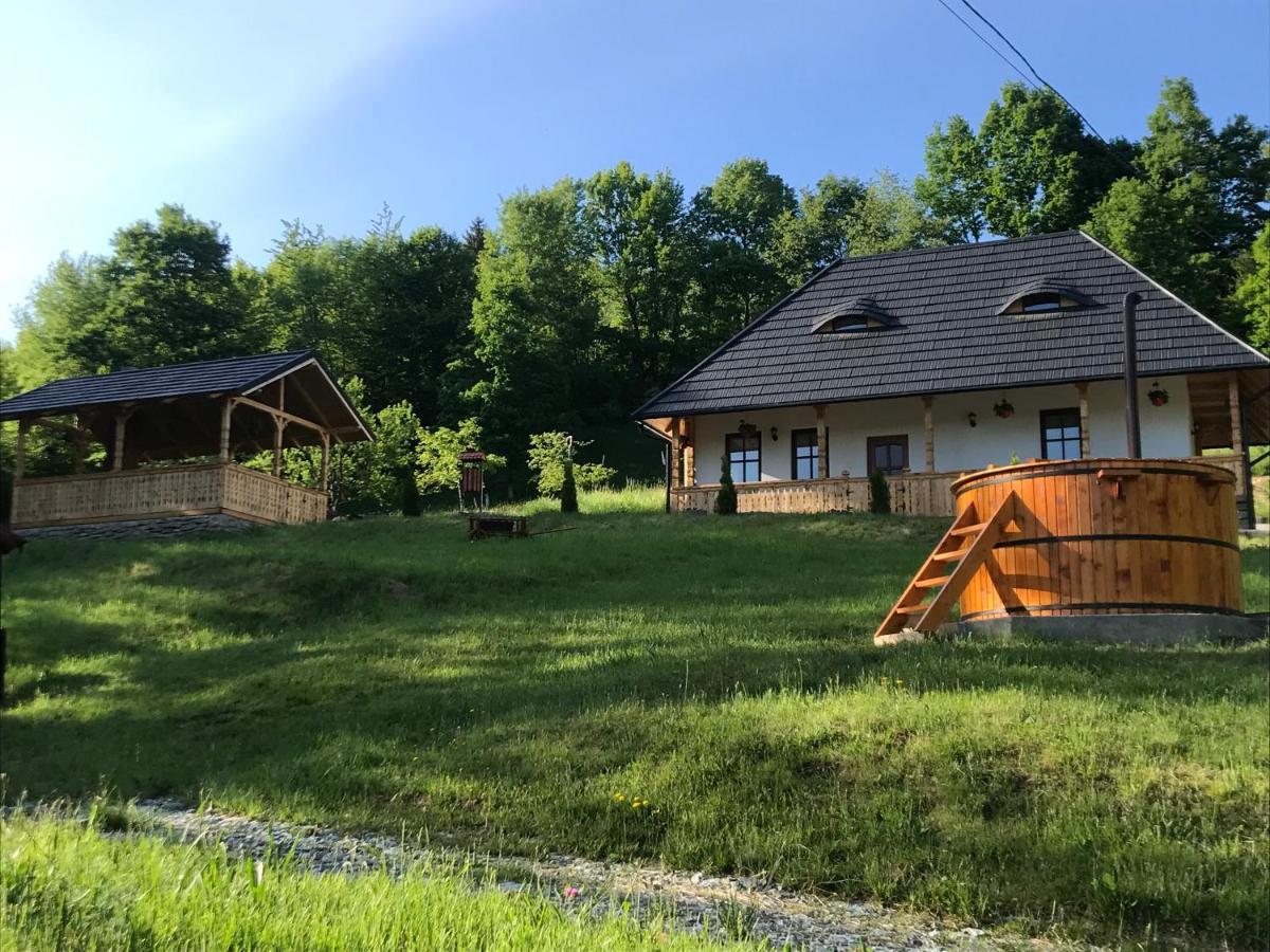 Hotel Casa Berg Vişeu de Sus Exterior foto