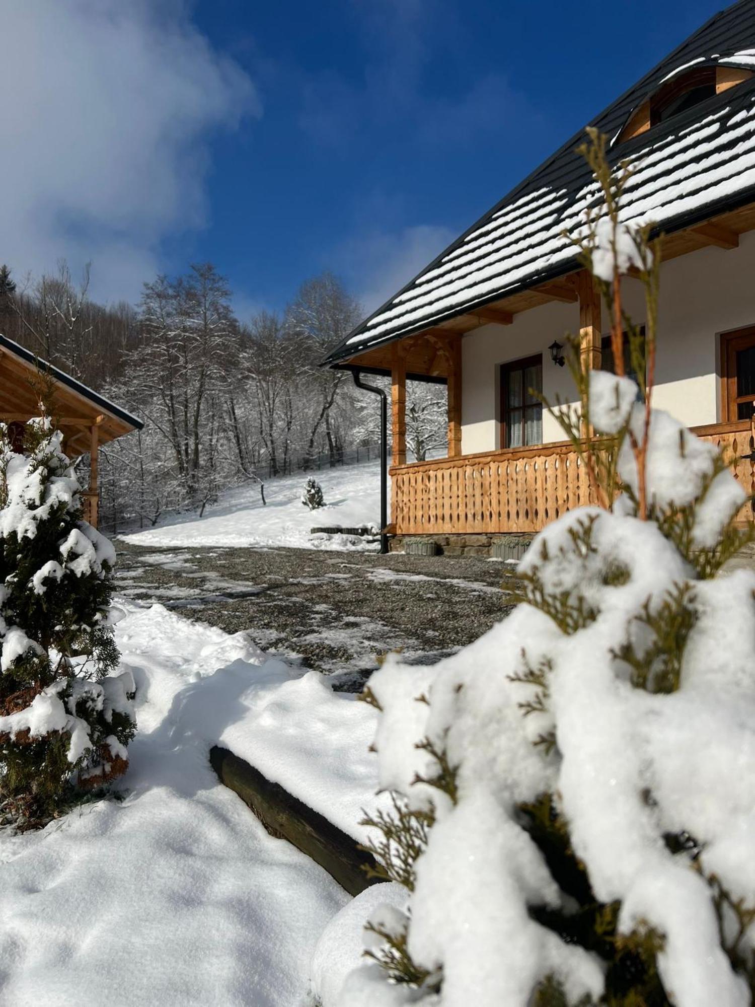 Hotel Casa Berg Vişeu de Sus Exterior foto
