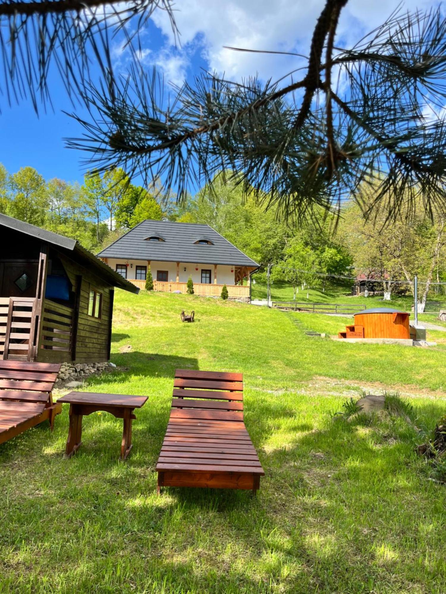 Hotel Casa Berg Vişeu de Sus Exterior foto