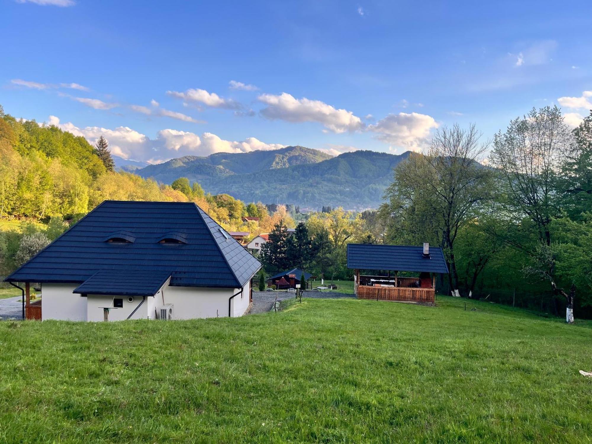 Hotel Casa Berg Vişeu de Sus Exterior foto