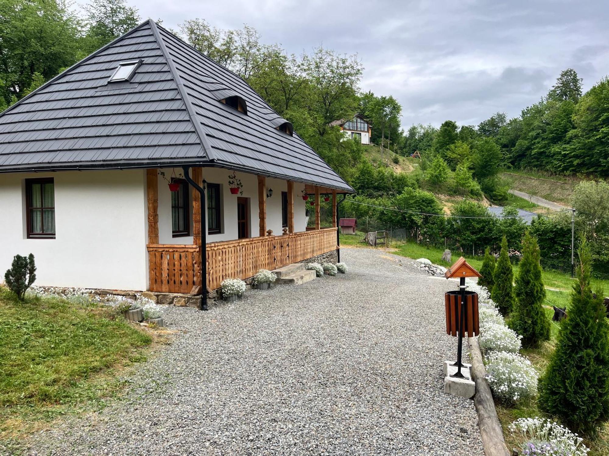 Hotel Casa Berg Vişeu de Sus Exterior foto