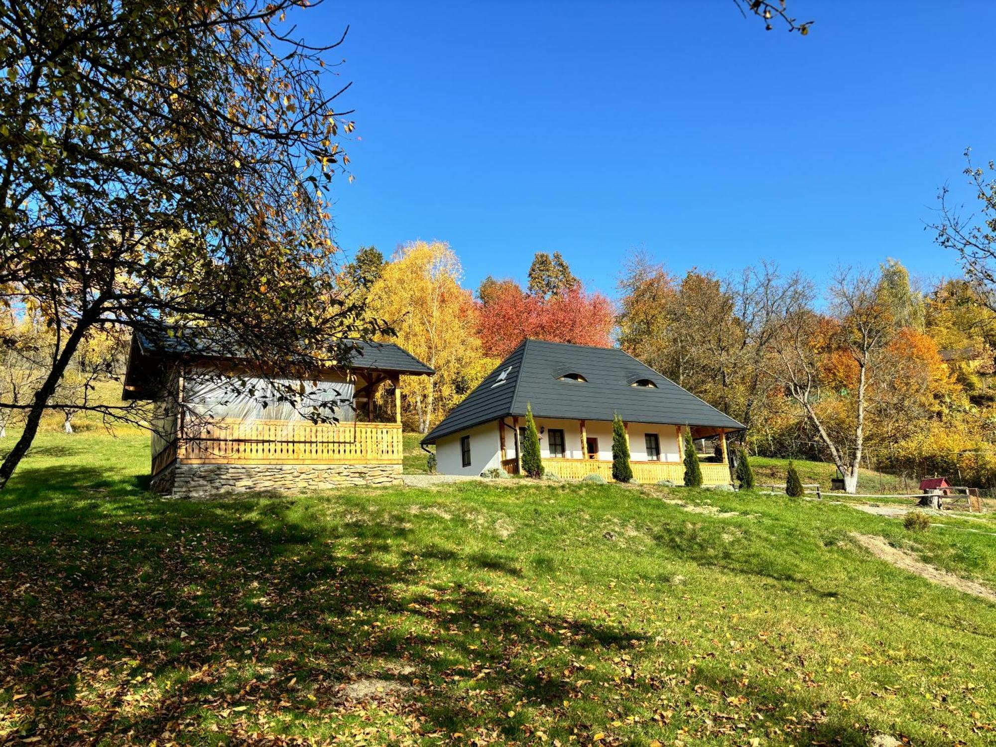 Hotel Casa Berg Vişeu de Sus Exterior foto