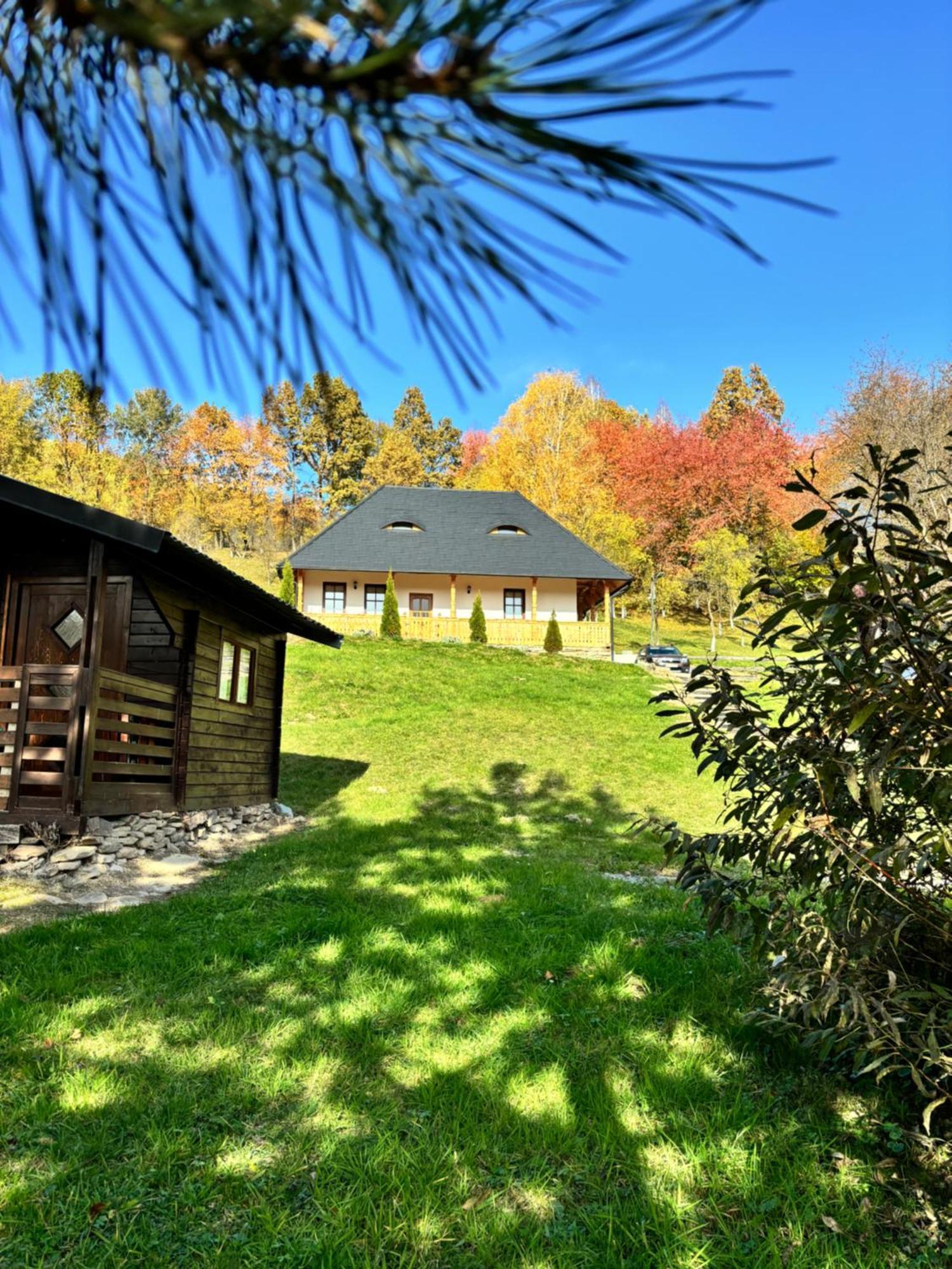 Hotel Casa Berg Vişeu de Sus Exterior foto